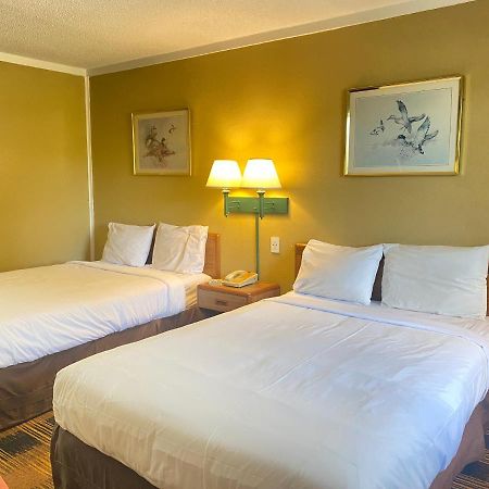 Smokies Inn - New Linens & Ultrafast Wifi - Friendliest Hospitality Guaranteed! Kodak Eksteriør bilde